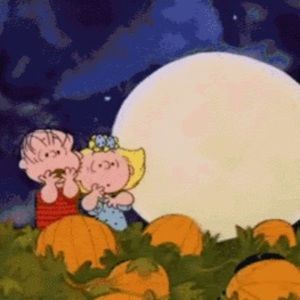 Meet your Posher, Maggie